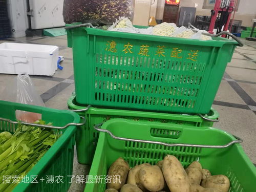 廈門(mén)市同安區(qū)蔬菜配送及9月農(nóng)產(chǎn)品供需形勢(shì)與食用農(nóng)產(chǎn)品初加工分析