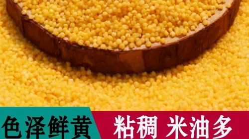 方山縣積翠鄉(xiāng) 消費(fèi)扶貧月綠色農(nóng)產(chǎn)品展銷(xiāo)與網(wǎng)絡(luò)認(rèn)購(gòu)活動(dòng)助力農(nóng)產(chǎn)品初加工升級(jí)
